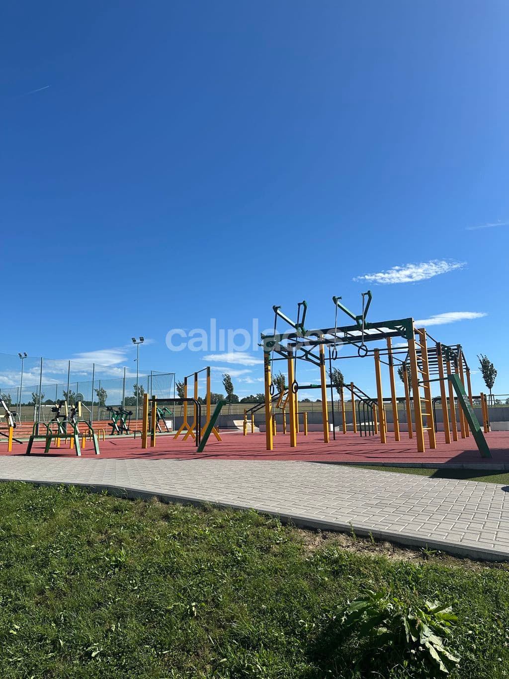 workout rvl 13 calisthenics park