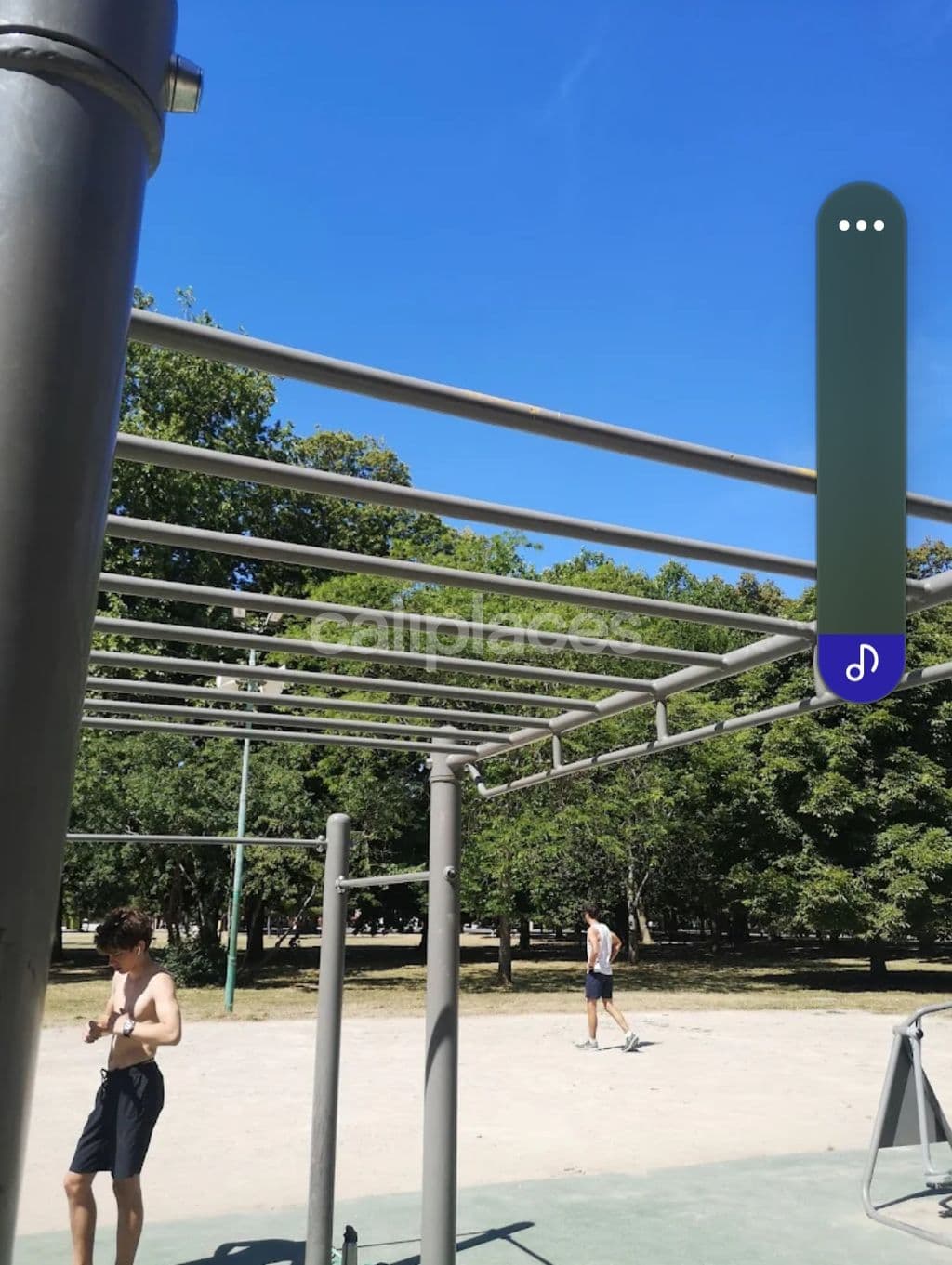 Photo 3 of Nancy - Street Workout - Parc de la pépinière