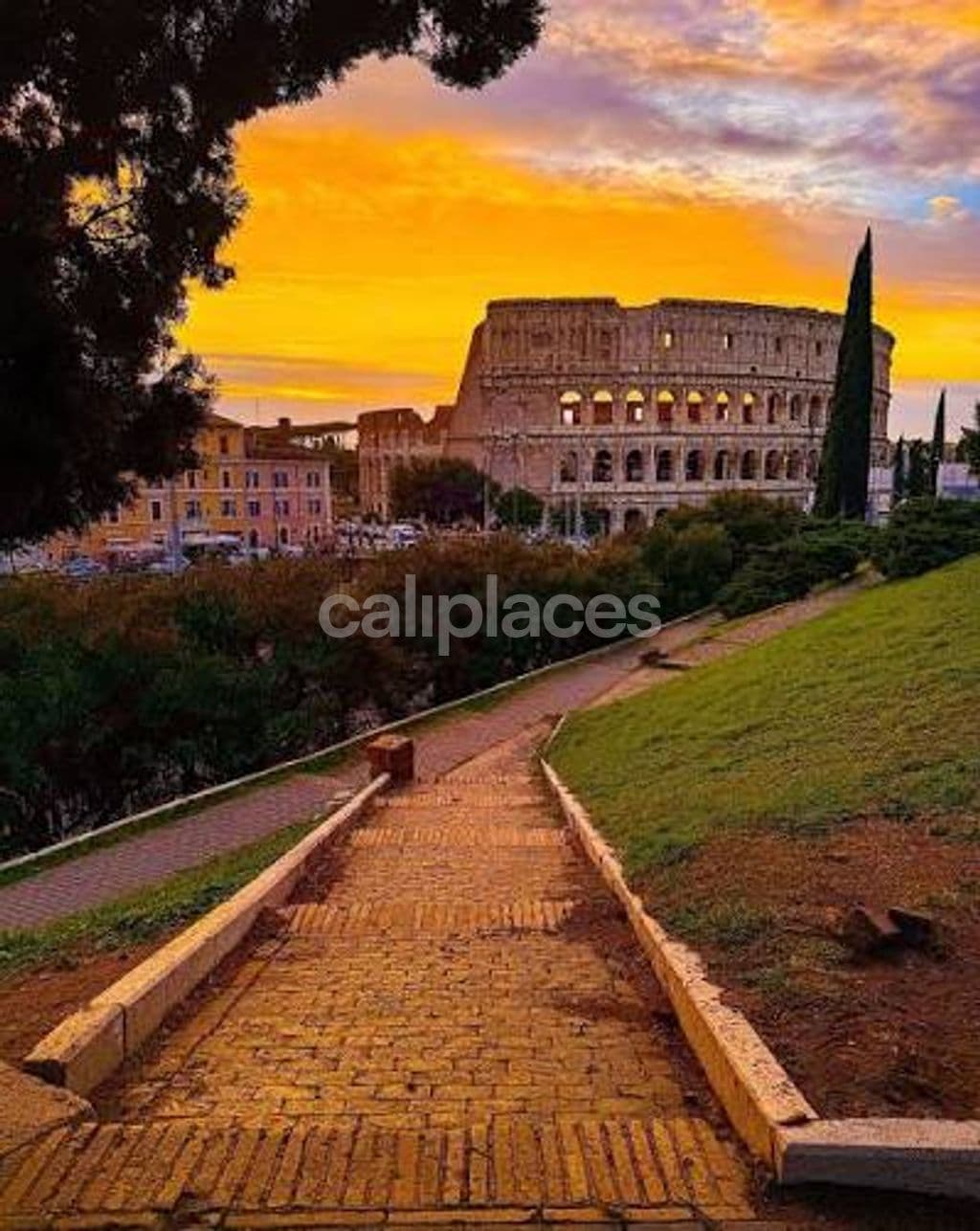 Photo 4 of Colosseum sport park