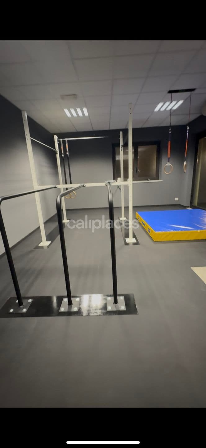 Calisthenics Lifter House calisthenics park