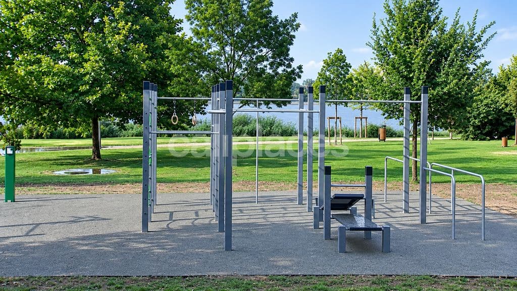 Photo 2 of Parco Calisthenico Zanzara