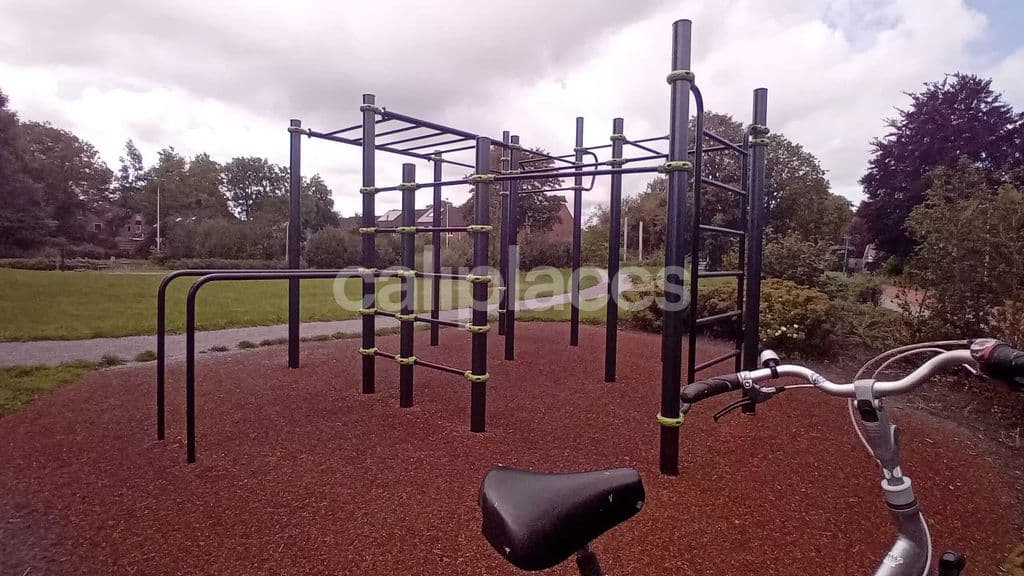 Photo 3 of Calisthenics Peelo