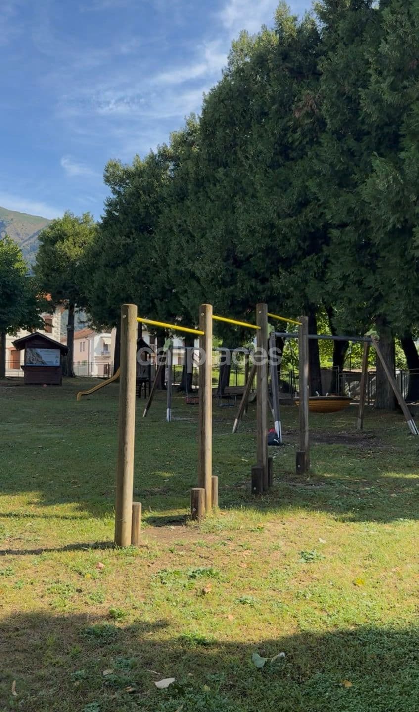 Photo 2 of calisthenics Bolzano Bellunese