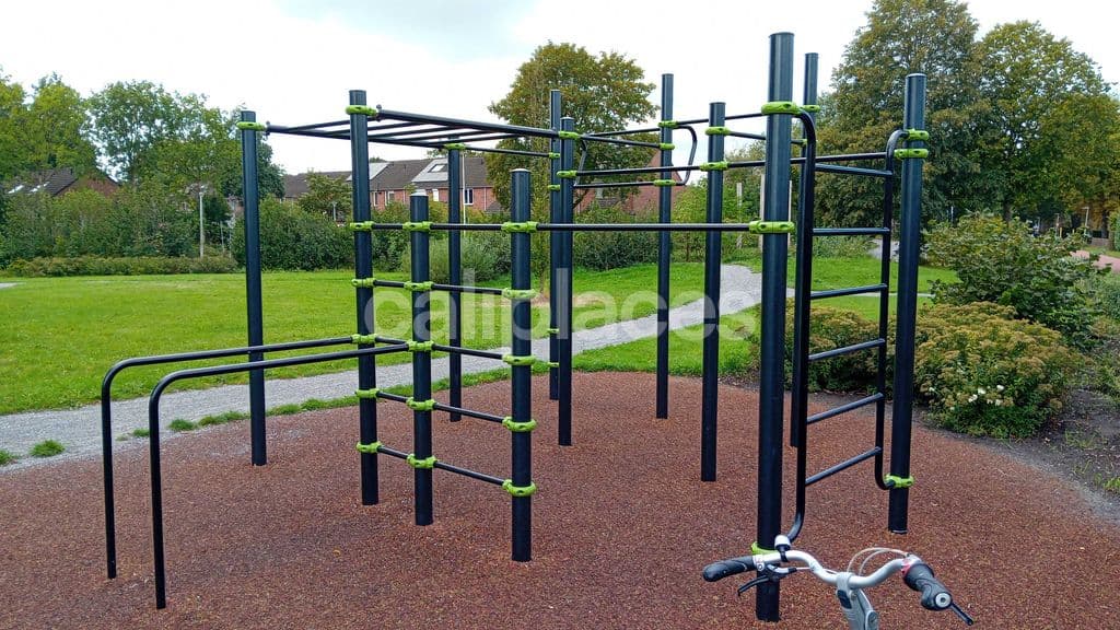 Calisthenics Peelo calisthenics park