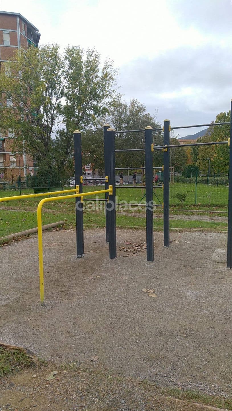 Parco Calisthenics calisthenics park